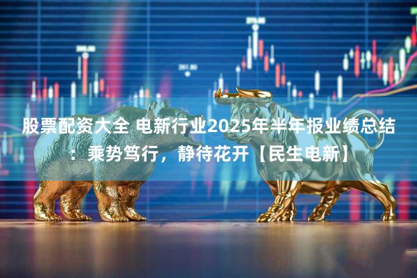 股票配资大全 电新行业2025年半年报业绩总结：乘势笃行，静待花开【民生电新】