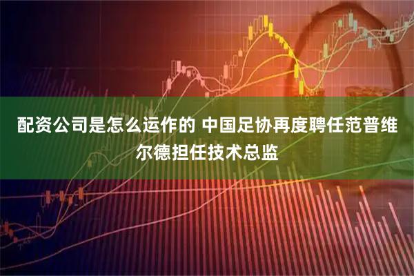 配资公司是怎么运作的 中国足协再度聘任范普维尔德担任技术总监