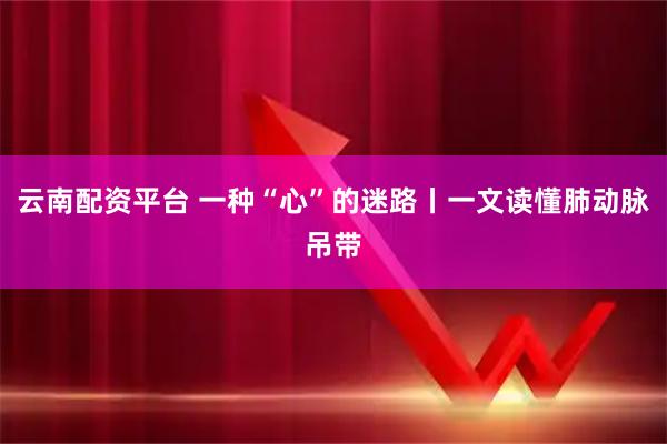云南配资平台 一种“心”的迷路丨一文读懂肺动脉吊带